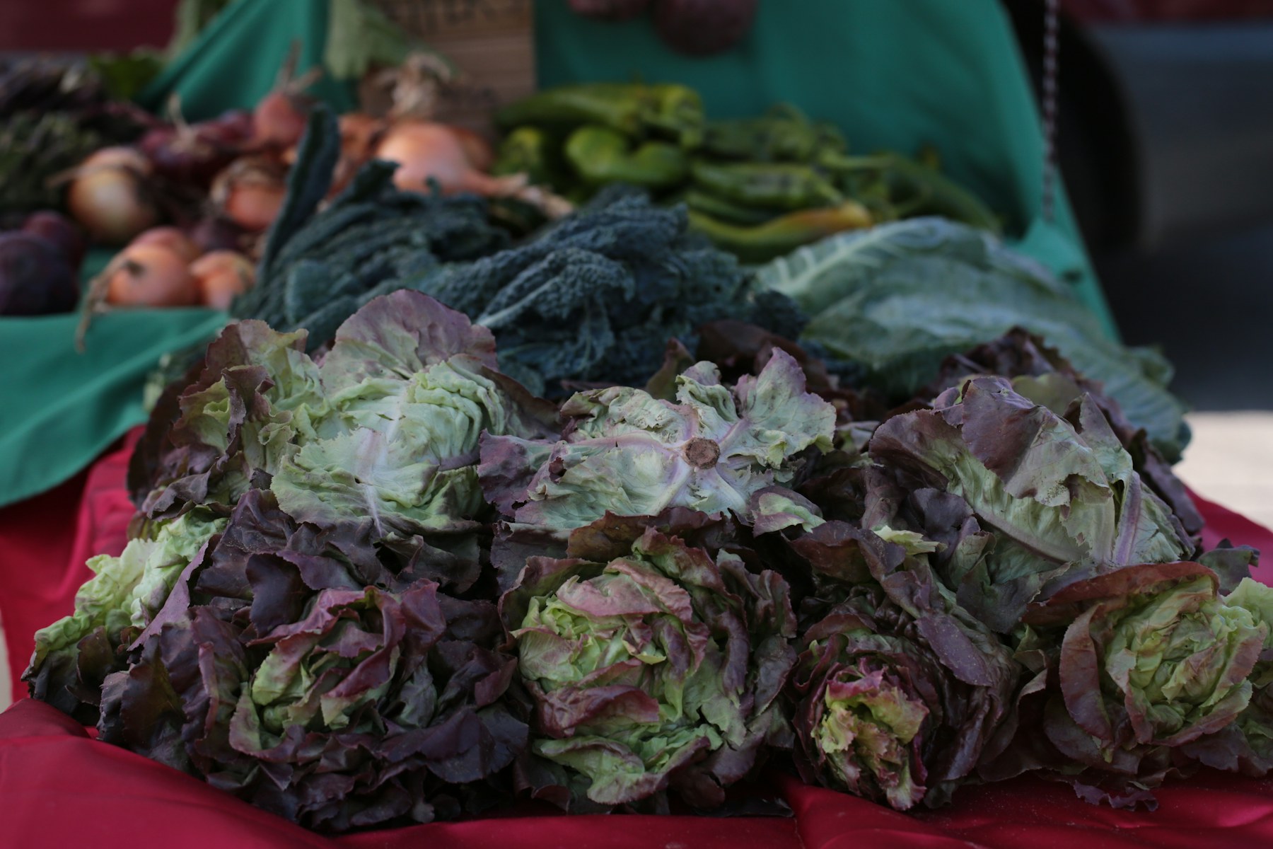 A market display of fresh lettuces and seasonal vegetables