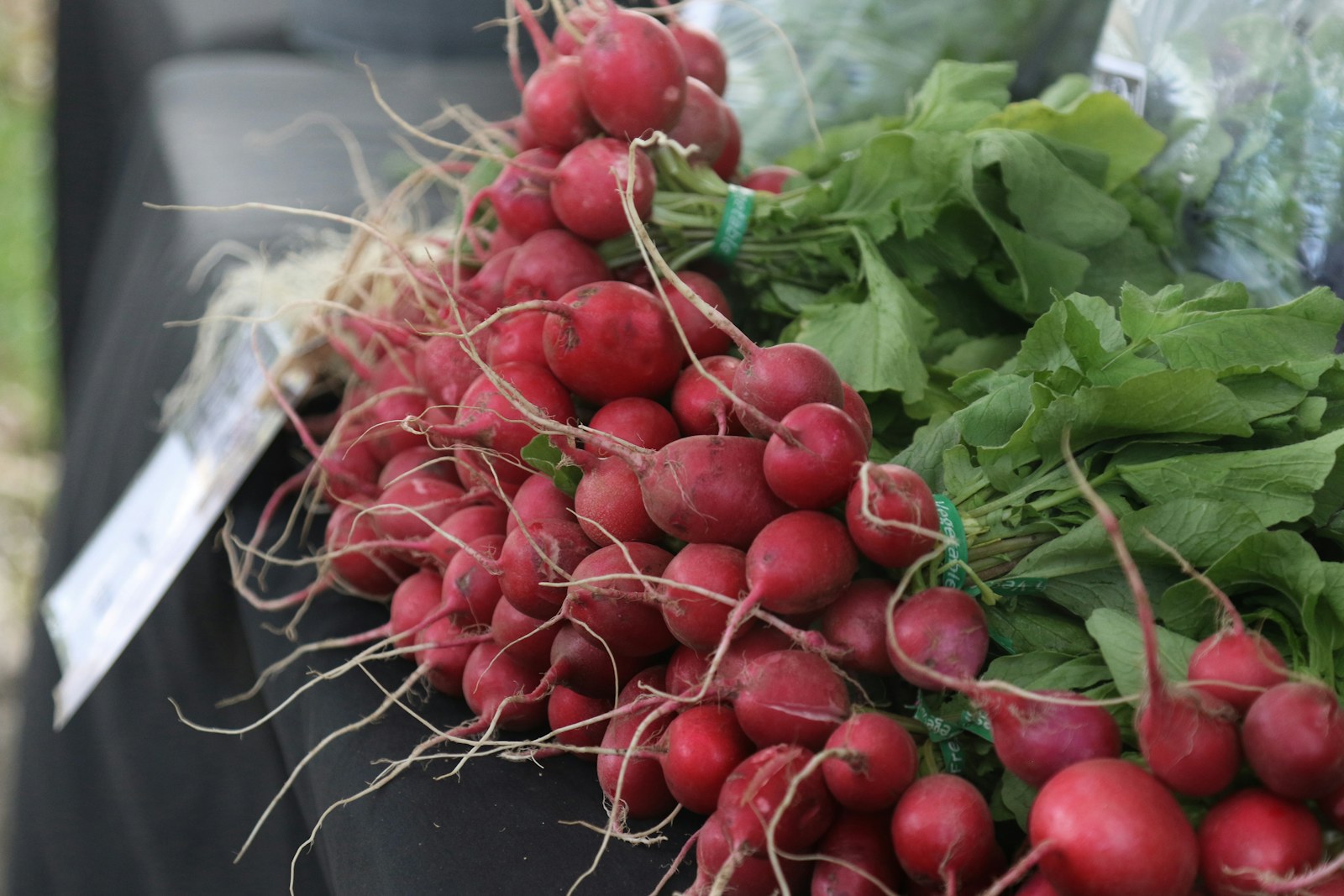 Fresh red radishes with leafy tops at a market